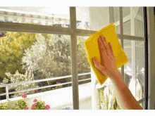 bond cleaning brisbane northside kitchen windows