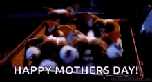 Gremlins Gizmo GIF - Gremlins Gizmo Happy Mothers Day GIFs