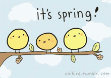 Hi Its Spring GIF - Hi Its Spring GIFs