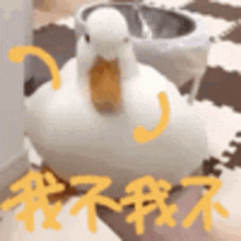 a white duck with a yellow beak is sitting next to a bucket on a rug .
