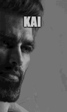 Defective Kai Kai GIF - Defective Kai Kai Kai Giga Chad GIFs