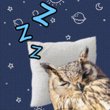 Sleeping Owl Sleep Owl GIF - Sleeping Owl Sleep Owl Owl GIFs