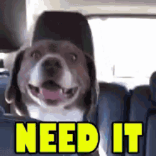 Need It Obsessed GIF - Need It Obsessed Gotta Have It GIFs