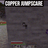 a screenshot of a video game with the words copper jumpscare