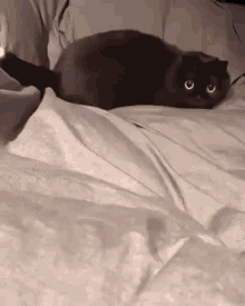 a black cat is laying on a bed with white sheets and looking at the camera .