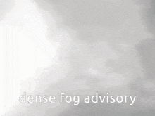 a cat is walking through dense fog with the words dense fog advisory above it