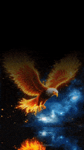 a picture of an eagle with the number 09 on the bottom
