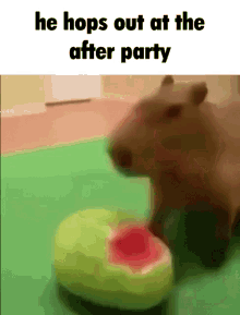 He Hops Out At The After Party Meme GIF - He Hops Out At The After Party Meme Discord GIFs