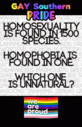 a gay southern pride poster with a rainbow flag