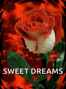 Sweet Dreams Flowers GIF - Sweet Dreams Flowers Sparkles GIFs