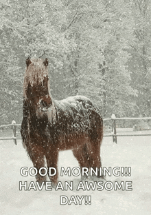 So Beautiful Snow Day GIF - So Beautiful Snow Day Good Morning GIFs