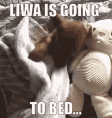 Liwa Bed GIF - Liwa Bed Sleepy GIFs