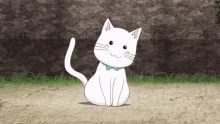 Cat Tail GIF - Cat Tail Wiggle GIFs