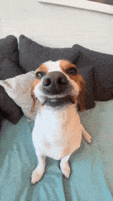 Goofy Dog Smiling Smile GIF