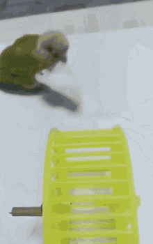 Hamster Hamster Wheel GIF - Hamster Hamster Wheel Spin GIFs