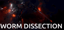 Worm Dissection GIF - Worm Dissection GIFs