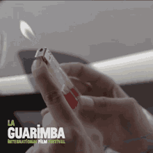 Blaze Guarimba GIF - Blaze Guarimba Nothing To Do GIFs