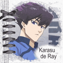 a picture of a man with the name karasu de ray