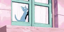 cat scratch window help pink