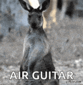 Air Guitar GIF
