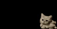 Smoke Cat GIF - Smoke Cat Coming GIFs