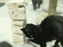 Reddit Jenga GIF - Reddit Jenga Cat GIFs