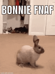 Fnaf Bunny GIF