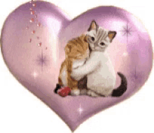 two cats are hugging each other in a heart