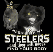 Dont Mess With My Steelers Pittsburgh Steelers GIF - Dont Mess With My Steelers Pittsburgh Steelers Fight For Steelers GIFs