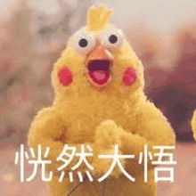 a stuffed chicken with chinese writing on it 's face .