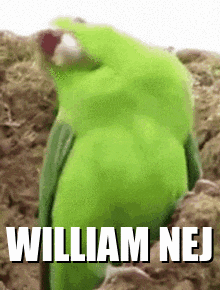 William Nej GIF - William Nej GIFs