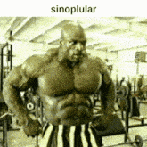 a very muscular man in striped shorts is standing in a gym with the words sinoplular above him