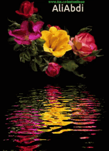 Flower And Water GIF - Flower And Water GIFs