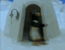 Pingu Penguins GIF - Pingu Penguins Lockdown GIFs