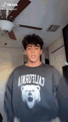 a young man wearing a grey sweater with a polar bear on it is standing in front of a ceiling fan .