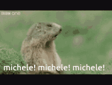 Michele GIF - Michele GIFs