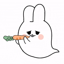 carrots rabbits