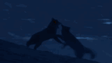 a man and woman are kissing in a dark room .