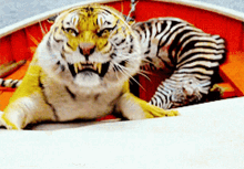 You Did Not Life Of Pie GIF - You Did Not Life Of Pie Tiger GIFs