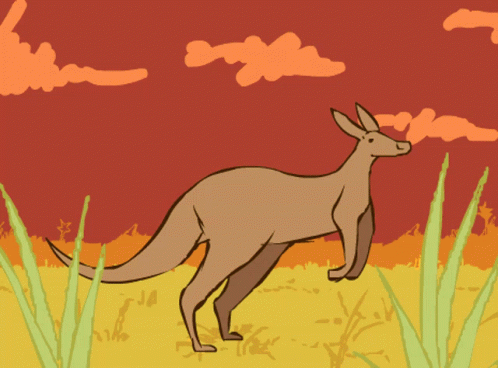 Kangaroo Animation GIFs | Tenor