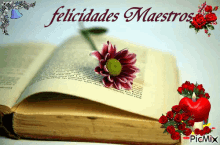 Felicidades Maestros Feliz Dia Del Maestro GIF - Feliz Dia Del Maestro Teachers Day Greeting GIFs