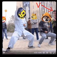 Dog Dog Memes GIF - Dog Dog Memes Doge GIFs