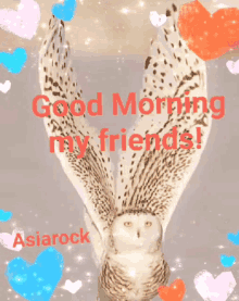 Asiarock Good Morning GIF - Asiarock Good Morning My Friend GIFs