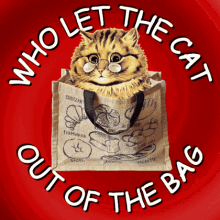 Let Cat Out Of Bag Who Told You GIF - Let Cat Out Of Bag Who Told You Who Revealed Secret GIFs