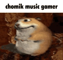 Chomik Music Gamer Chomik GIF - Chomik Music Gamer Chomik Chomikuj GIFs