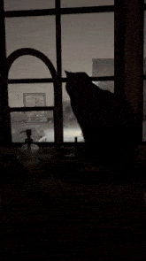 a black cat sits on a window sill looking out