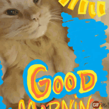 Good Morning GIF - Good Morning Angel GIFs
