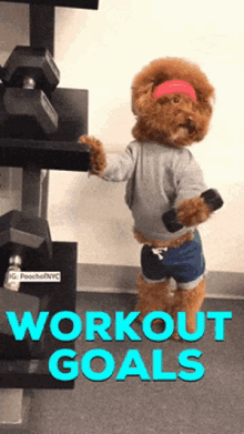 workout goals workout puppy cute pup