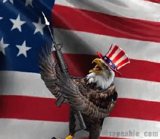 American Eagle Usa GIF - American Eagle USA USA Flag - Discover & Share GIFs