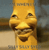 Silly Silly Syed Silly GIF